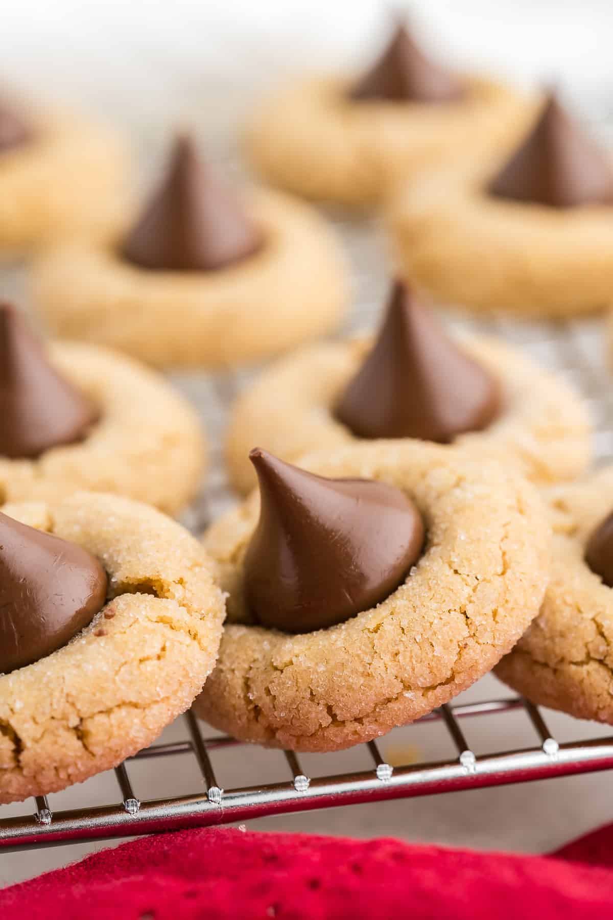 Delicious christmas peanut butter blossom cookies.