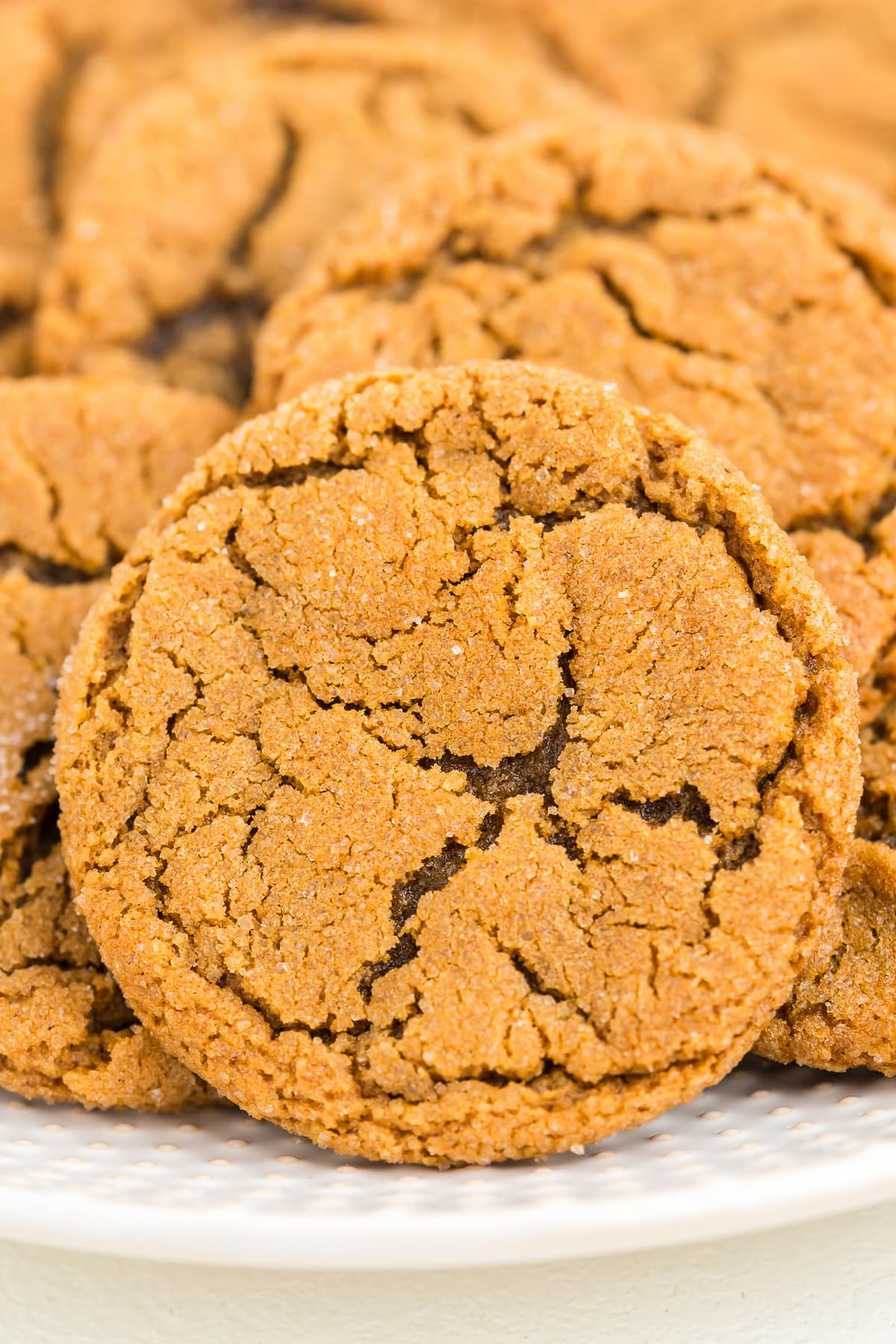 crackled molasses cookie