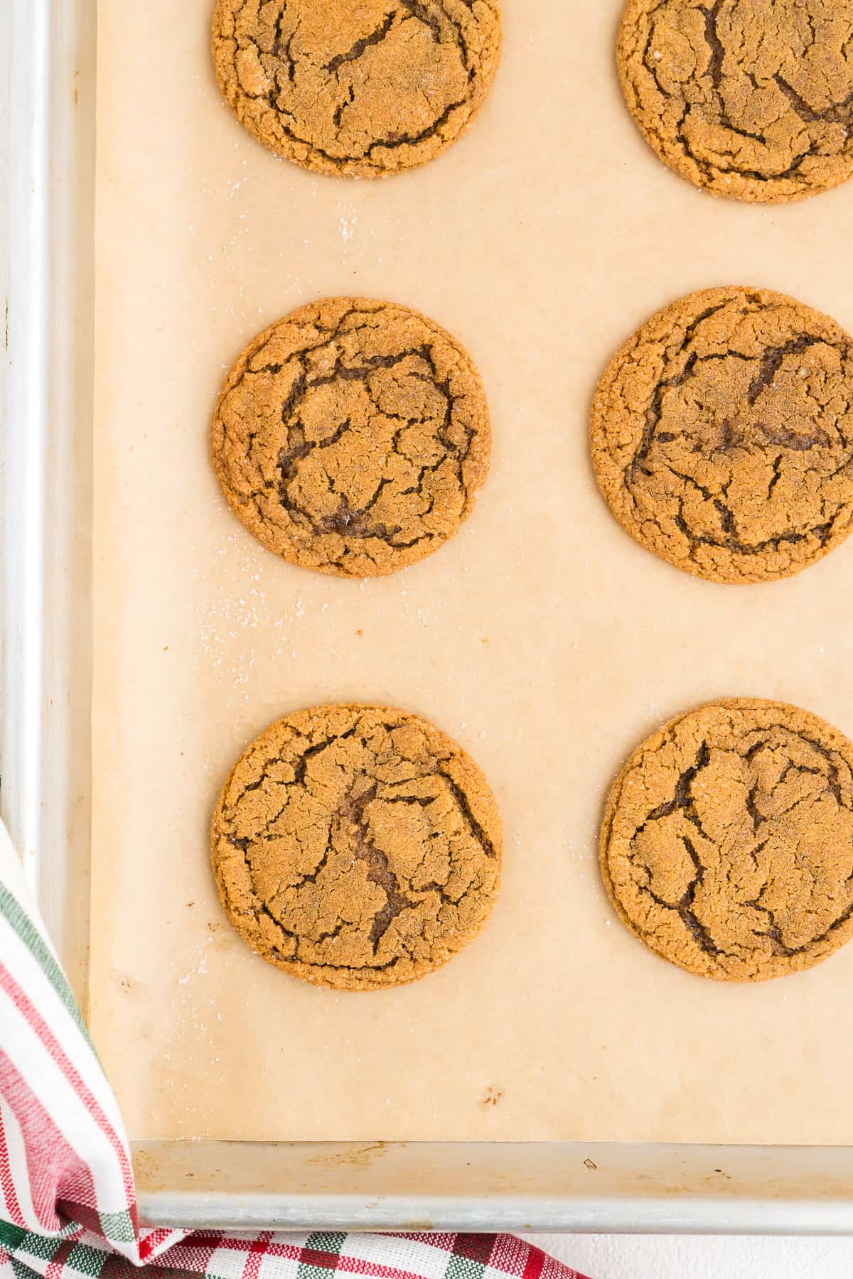 best molasses cookies on a pan